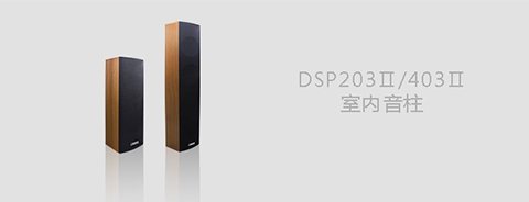 DSP203II/403II室内音柱