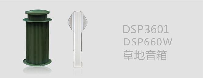 DSP3601/660草地音箱