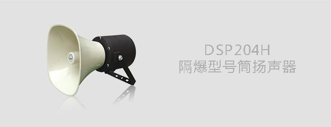 DSP204H隔爆型号筒扬声器