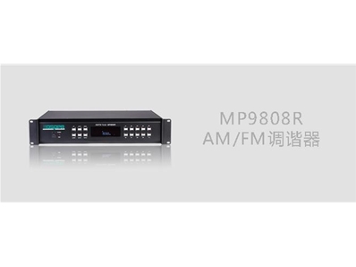 DSPPA MP9808R AM/FM调谐器