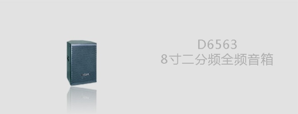 D6563全频音箱