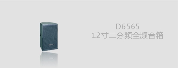 D6565全频专业音箱