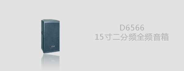 D6566全频专业音箱